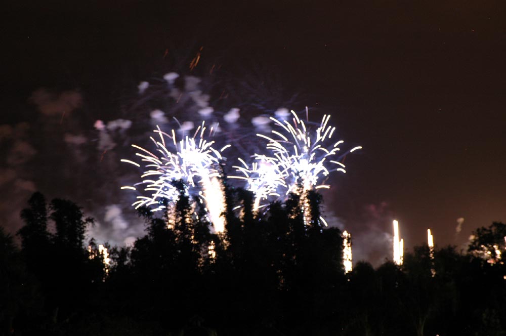Illuminations 7